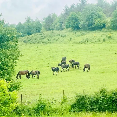 Appartamento Grand Bidallon