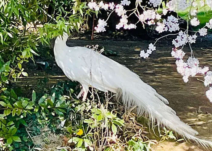 Appartement Grand Bidallon