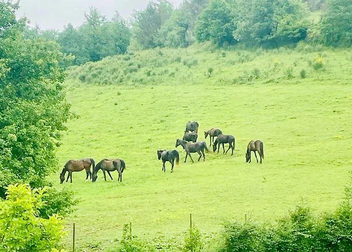 Appartement Grand Bidallon